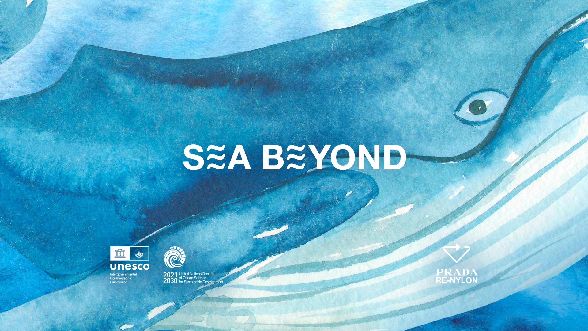 Calendario SEA BEYOND 2025